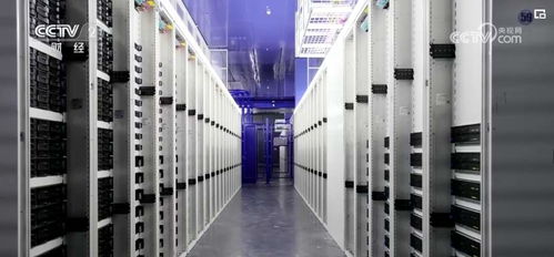 大模型浪潮下，算力租賃資源與人工智能基礎軟件開發成新焦點